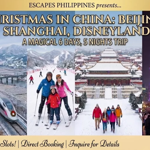 6D/5N Christmas in China
